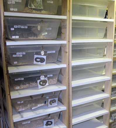 melamine shelf plans